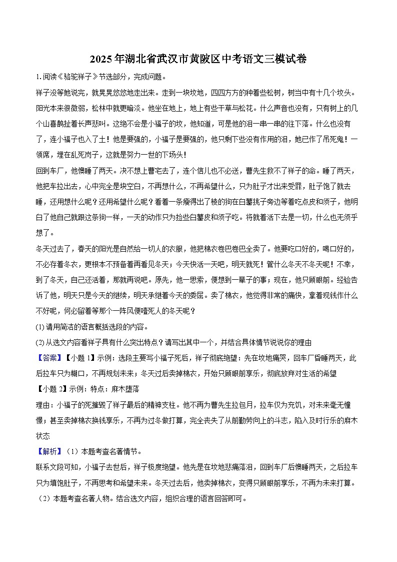 2025年湖北省武汉市黄陂区中考语文三模试卷-教师用卷第1页