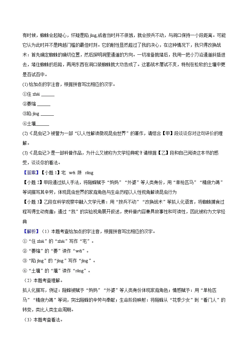 2025年安徽省马鞍山市中考模拟语文试卷第2页