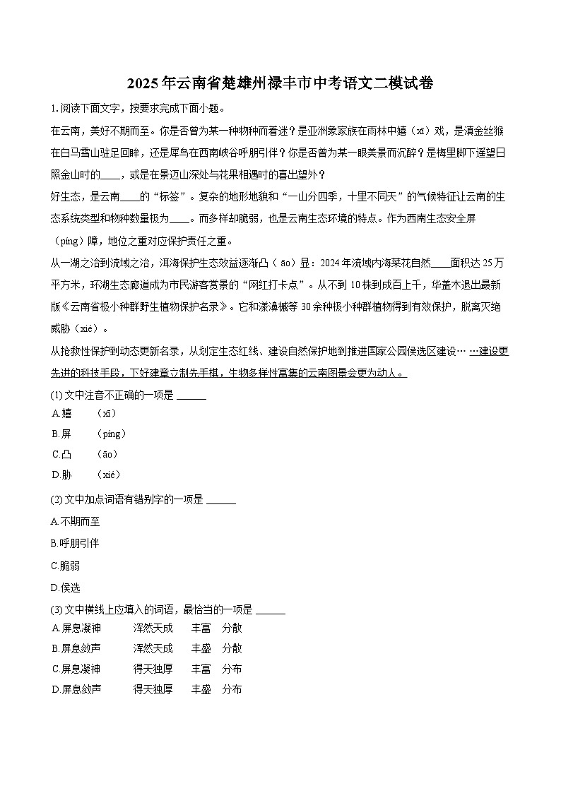 2025年云南省楚雄州禄丰市中考语文二模试卷第1页