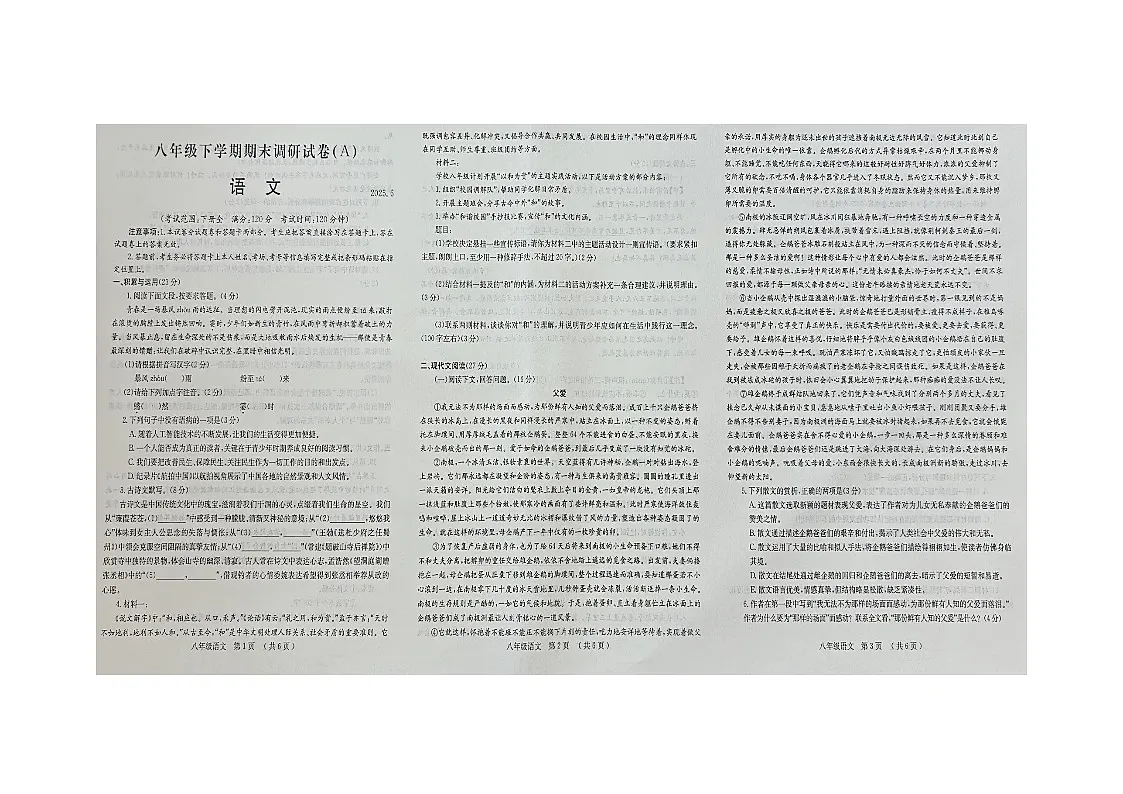 河南省安阳市滑县校联考2024-2025学年八年级下学期6月期末 语文试题（pdf版含答案）第1页