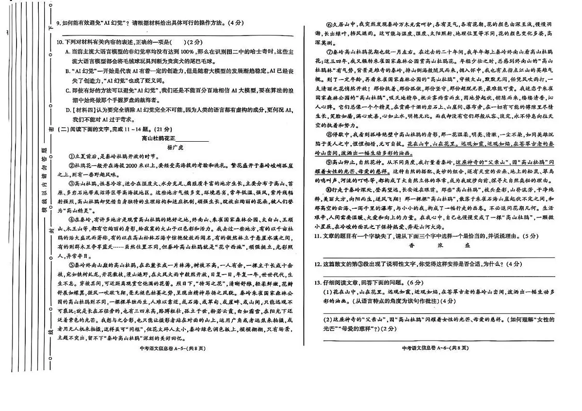 陕西省咸阳市2025届九年级下学期中考三模语文试卷（图片版，含答案）第3页