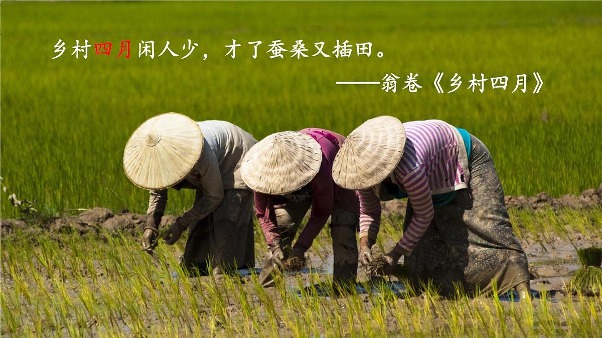 2025年秋九年级上册语文课件 5 你是人间的四月天——一句爱的赞颂第2页