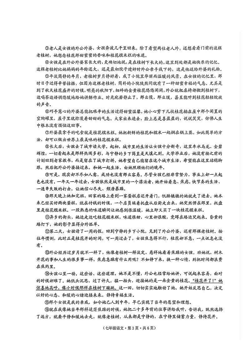 【7语期末】池州市贵池区2023-2024学年七年级下学期期末考试语文试题第3页