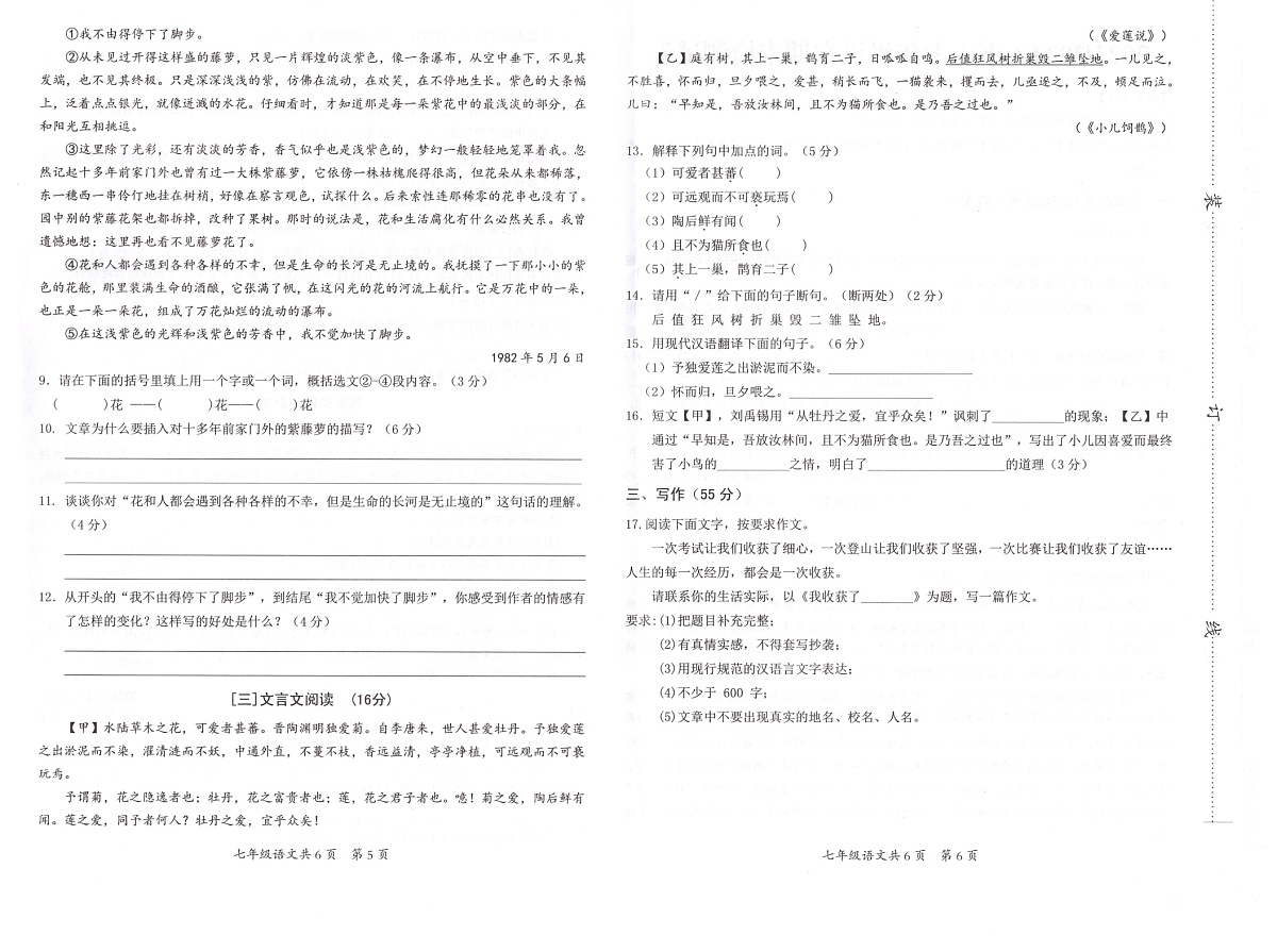 【7语期末】阜阳市临泉县2023-2024学年七年级下学期期末考试语文试题第2页