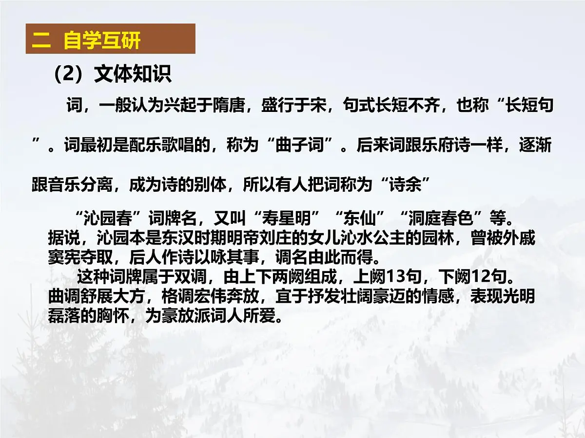 统编版九年级语文上册教学课件《沁园春 雪》第5页