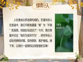 2024-2025學年統(tǒng)編版語文七年級下冊第四單元第16課《有為有不為》課件