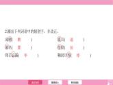 七年級語文下冊（2024年統(tǒng)編版）第一單元期末復(fù)習(xí)課件：1 鄧稼先