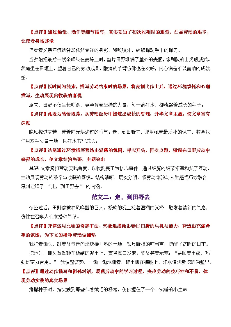 2025年广西中考作文（命题作文）-2025年中考语文作文深度解析与举一反三讲练（全国通用）第3页