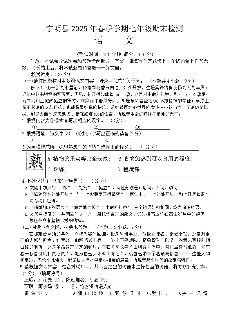 广西壮族自治区崇左市宁明县2024-2025学年七年级下学期6月期末语文试题第1页