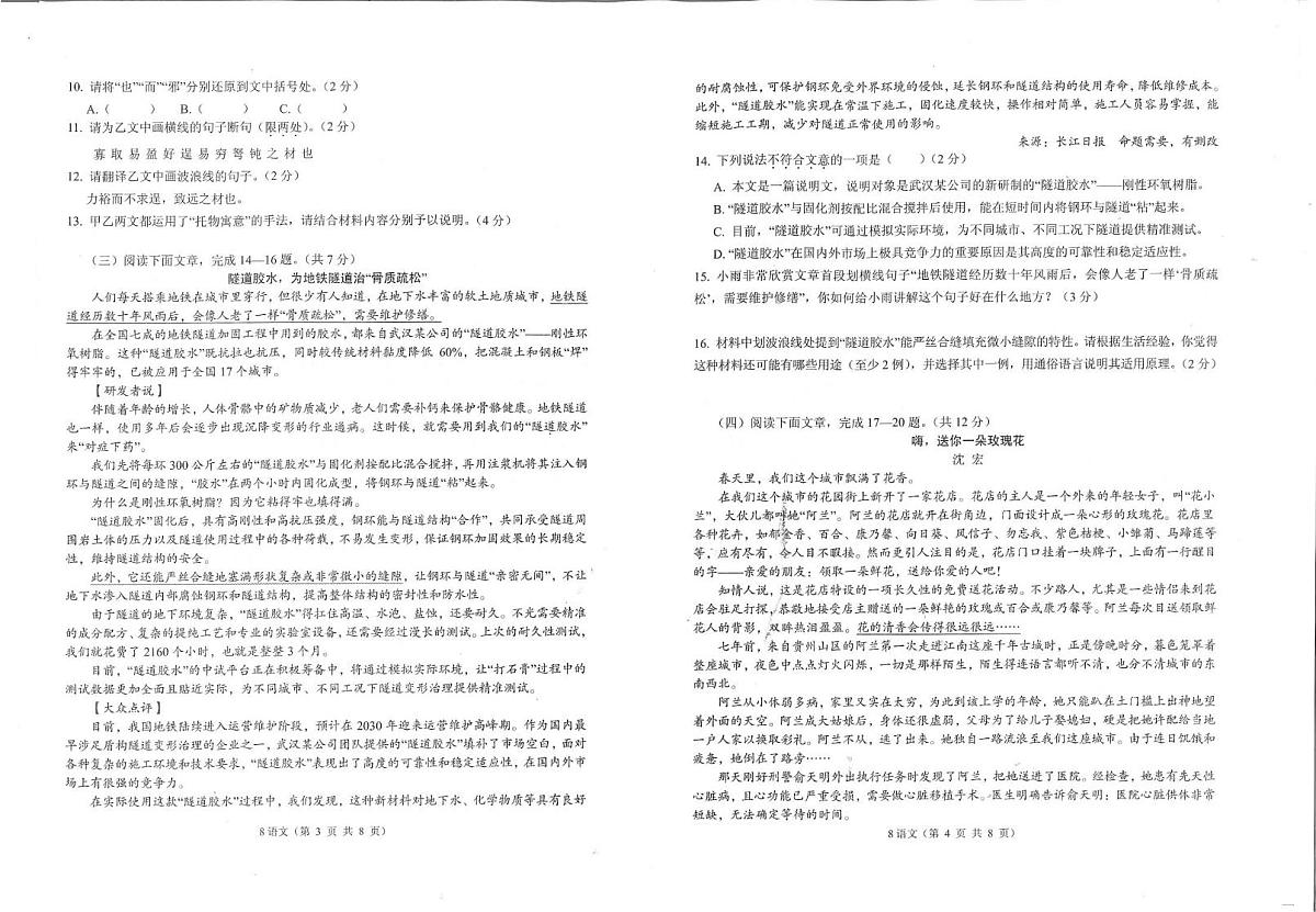 湖北省孝感市孝南区2024-2025学年八年级下学期6月期末语文试题第2页