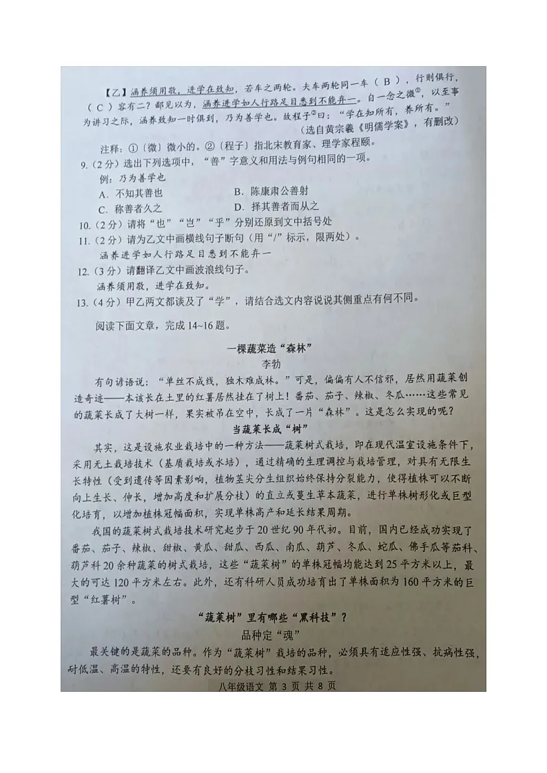 湖北省荆州市洪湖市2024-2025学年八年级下学期期末考试语文试题（图片版，含答案）第3页