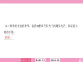 第二單元第8課《土地的誓言》作業(yè)課件 2024—2025學年統(tǒng)編版語文七年級下冊