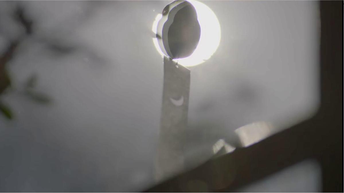 统编版（2024）七年级上册 第四单元：第四单元专题学习活动《少年正是读书时》课件第2页