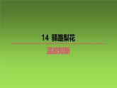 人教部編版七年級語文下冊（2024年統(tǒng)編版）期末復(fù)習(xí)課件：4.14 驛路梨花