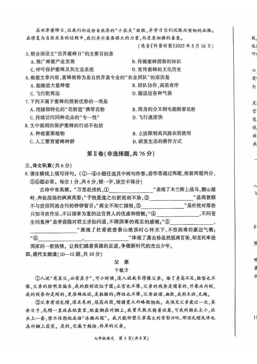 四川省广安市岳池县2024-2025学年七年级下学期诊断考试语文试卷第3页