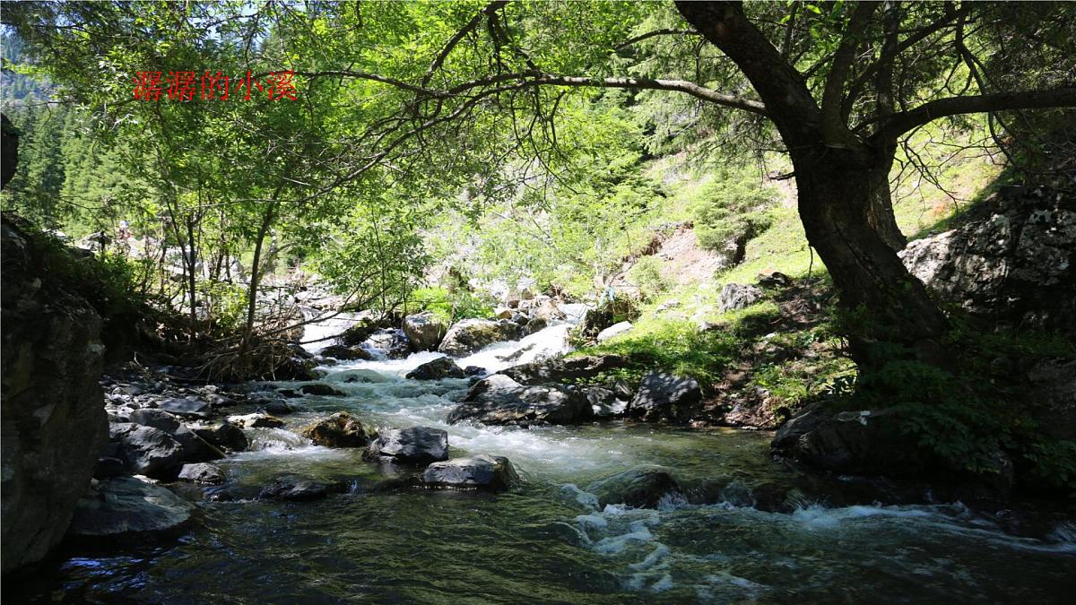 统编版八年级语文上册课件《写作 学习描写景物》第5页