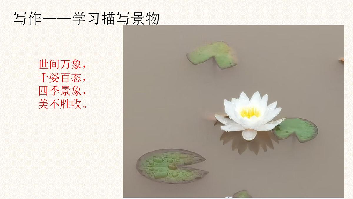 统编版八年级语文上册课件《写作 学习描写景物》第8页