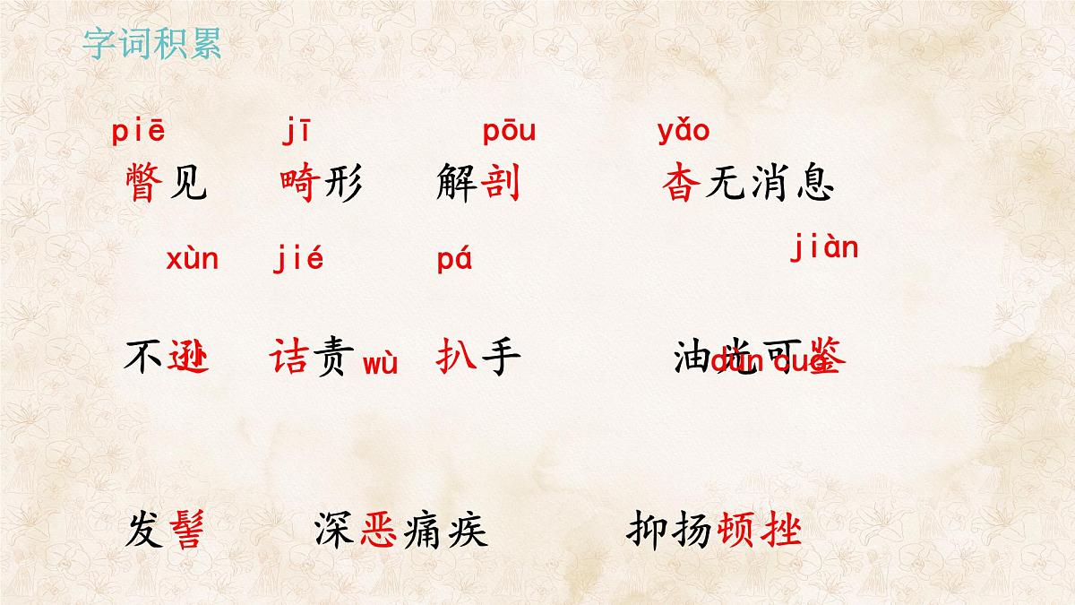 统编版八年级语文上册课件《藤野先生》第8页
