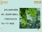 新人教部編語文八年級上 第二單元《學(xué)寫傳記》-塑造人物形象四大技巧課件