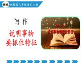 新人教版語文八年級上 第五單元《說明事物要抓住特征》教學(xué)課件