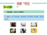 新人教版語文八年級上 第五單元《說明事物要抓住特征》教學(xué)課件