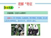 新人教版語文八年級上 第五單元《說明事物要抓住特征》教學(xué)課件