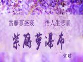19 紫藤蘿瀑布課件統(tǒng)編版七年級語文下冊