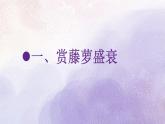 19 紫藤蘿瀑布課件統(tǒng)編版七年級語文下冊
