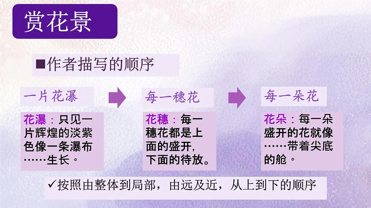 19 紫藤萝瀑布课件统编版七年级语文下册第8页