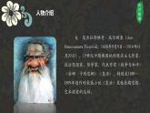 第3課《列夫托爾斯泰》課件統(tǒng)編版語文七年級(jí)下冊(cè)