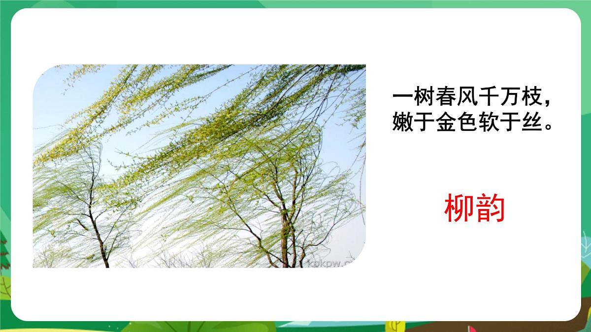 统编版八年级语文上册课件《白杨礼赞》第1页