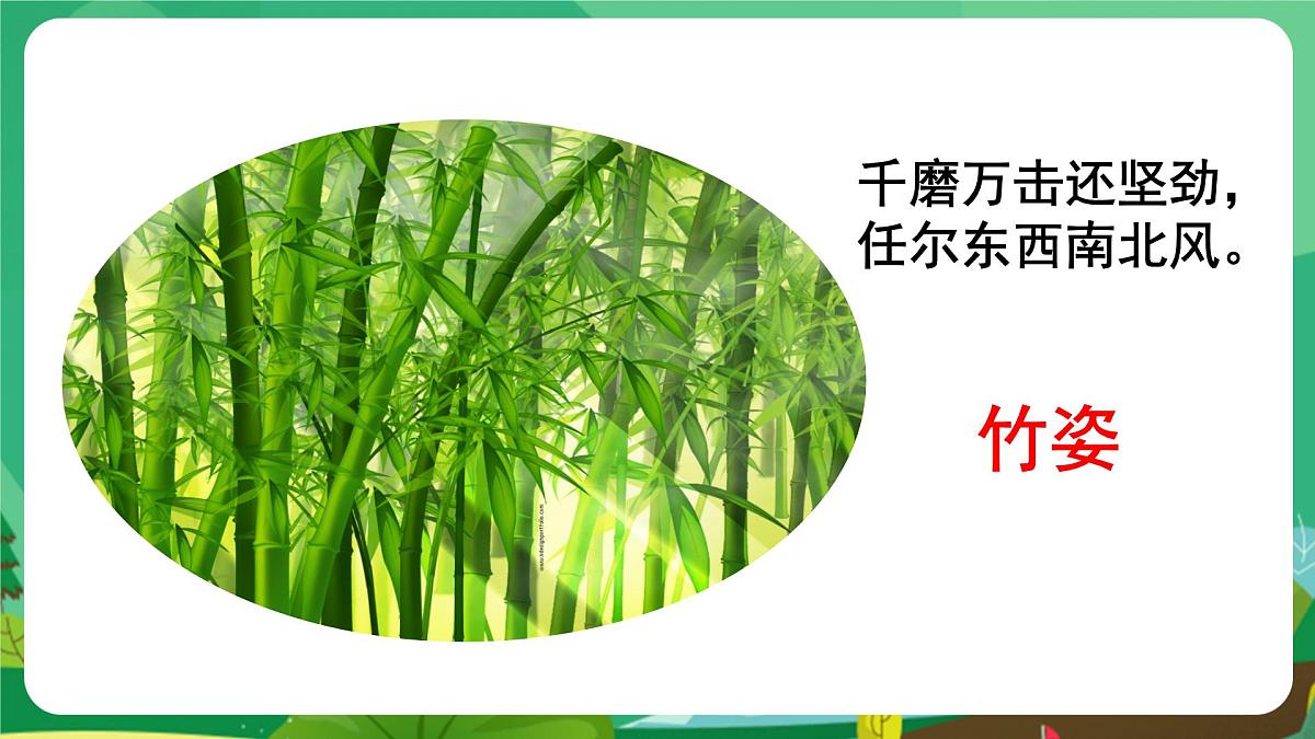 统编版八年级语文上册课件《白杨礼赞》第2页