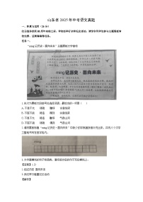 山东省2025年中考真题语文试卷（解析版）
