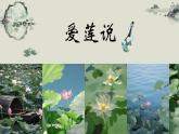 第17課《短文兩篇——愛(ài)蓮說(shuō)》課件2024-2025學(xué)年統(tǒng)編版語(yǔ)文七年級(jí)下冊(cè)