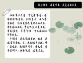 第17課《短文兩篇——愛(ài)蓮說(shuō)》課件2024-2025學(xué)年統(tǒng)編版語(yǔ)文七年級(jí)下冊(cè)
