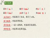 18 井岡翠竹 課件統(tǒng)編版七年級語文下冊
