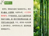 18 井岡翠竹 課件統(tǒng)編版七年級語文下冊
