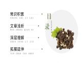 新人教部編語(yǔ)文八上 4-18《昆明的雨》-課件
