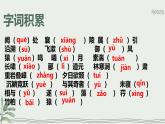 新人教部編語文八上 第三單元【復(fù)習(xí)課件】