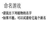 新人教部編語文八上 第三單元《學會描寫景物》課件（第1課時）