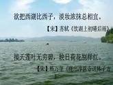 新人教部編語文八上 3-14《錢塘湖春行》課件