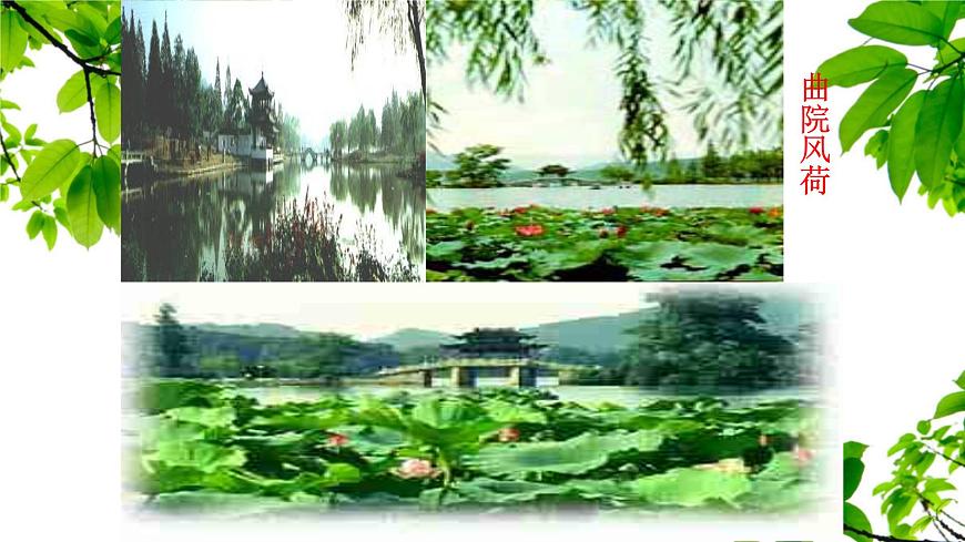 新人教部编语文八上 3-14《钱塘湖春行》课件第3页