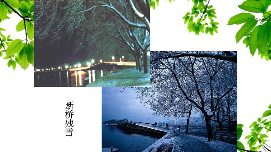 新人教部编语文八上 3-14《钱塘湖春行》课件第5页