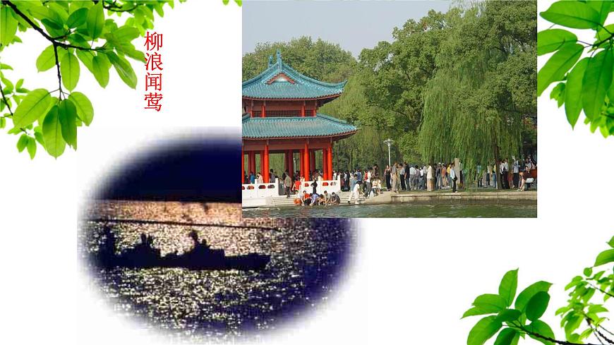 新人教部编语文八上 3-14《钱塘湖春行》课件第6页