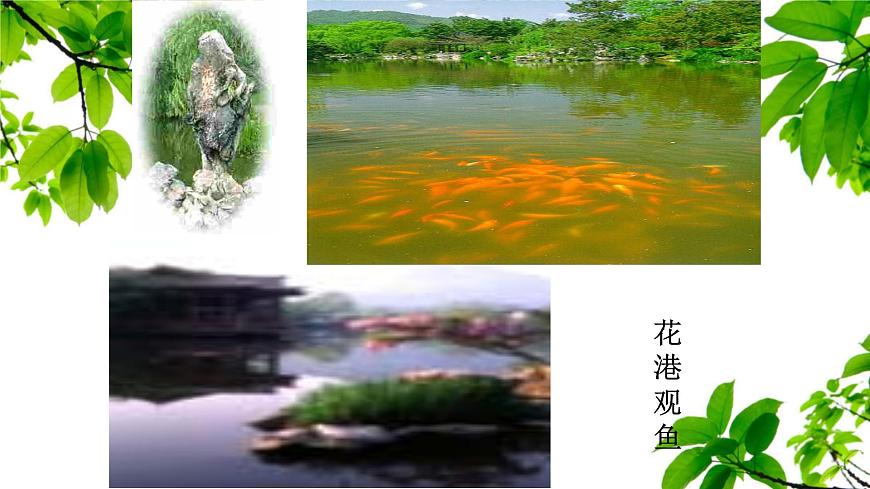 新人教部编语文八上 3-14《钱塘湖春行》课件第7页