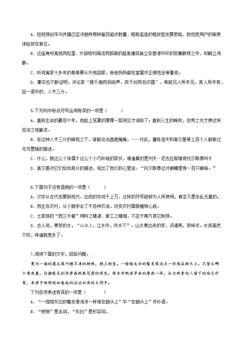 新人教部编语文七上 1-3《列夫 托尔斯泰》分层作业（原卷版无答案）第2页