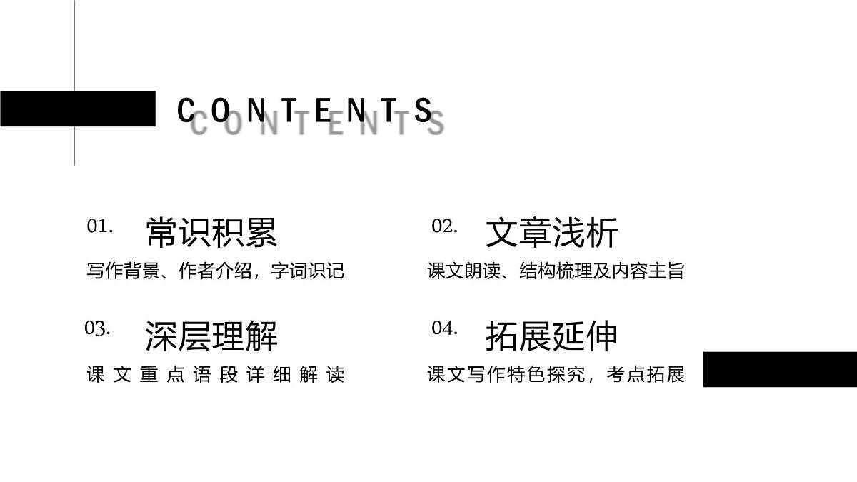 新人教部编语文七下 1-3《列夫托尔斯泰》 课件第3页