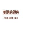 10 美麗的顏色（教學(xué)課件）-2025-2026學(xué)年八年級(jí)語文上冊(cè)（人教部編版2024）