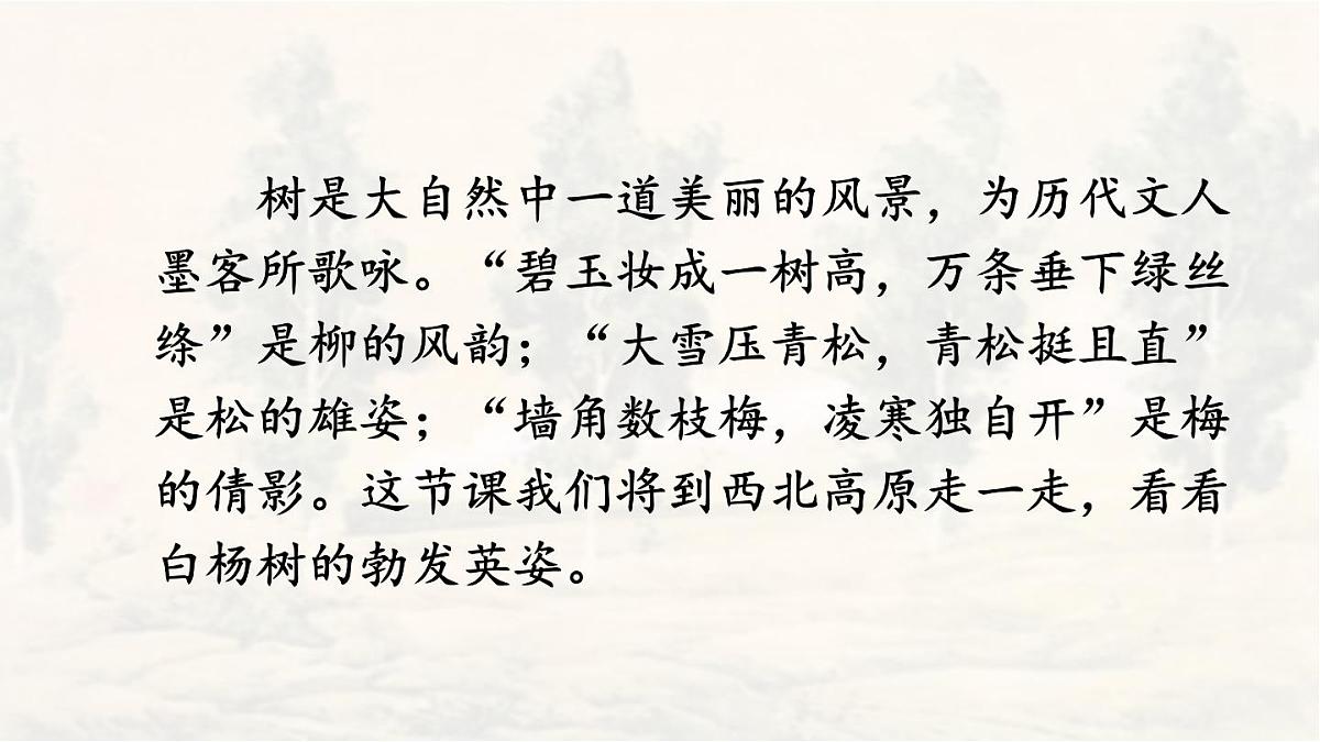 统编版八年级语文上册教学课件《白杨礼赞》第1页
