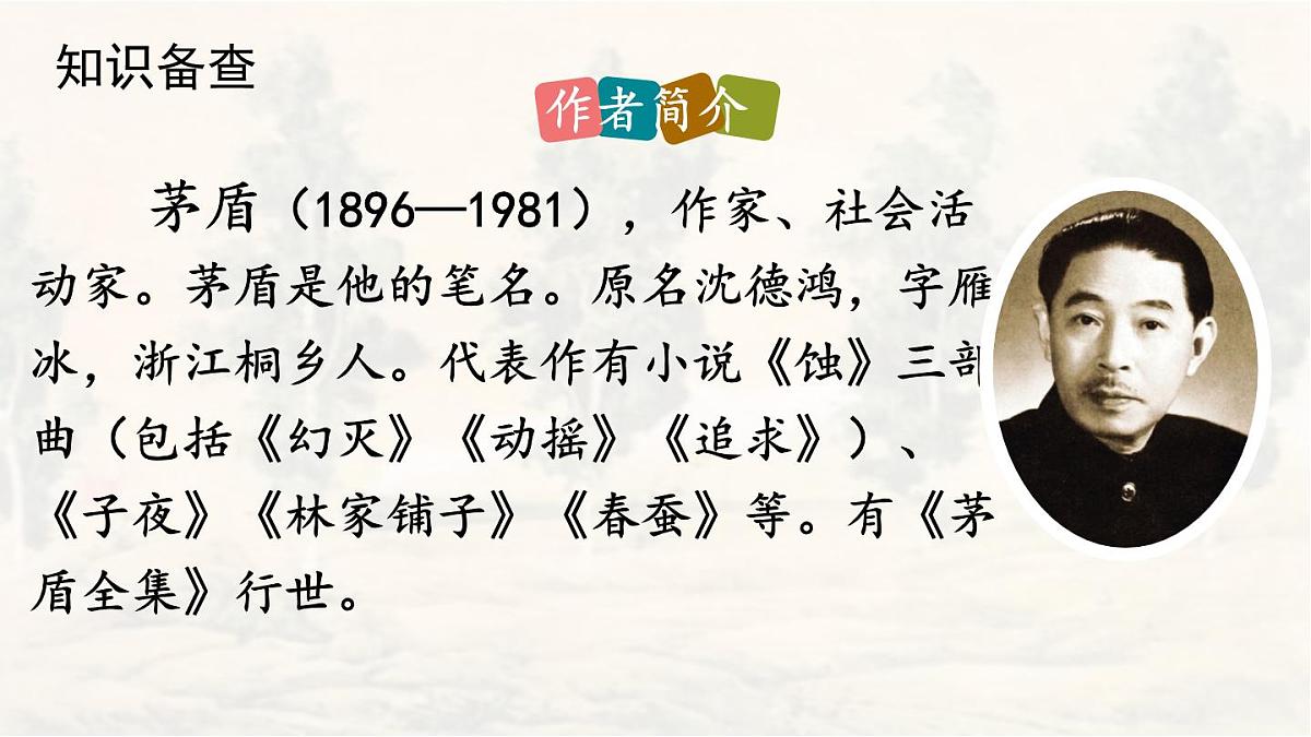 统编版八年级语文上册教学课件《白杨礼赞》第4页